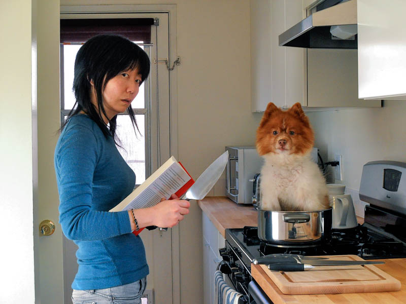 photo of Jennifer Moon holding a knife about to cook Mr. Snuggles sitting in a pot